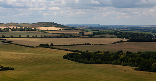 Bedfordshire Service Image Thumbnail